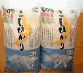 100%武川町産_こしひかり（10kg）