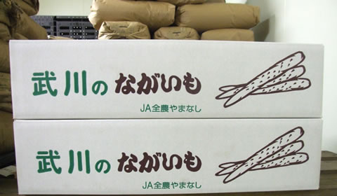 武川町産ながいも（5kg）