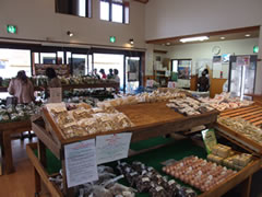 �Z���^�[���ɏ������ƒ񂳂ꂽ�_�Y���̎ʐ^